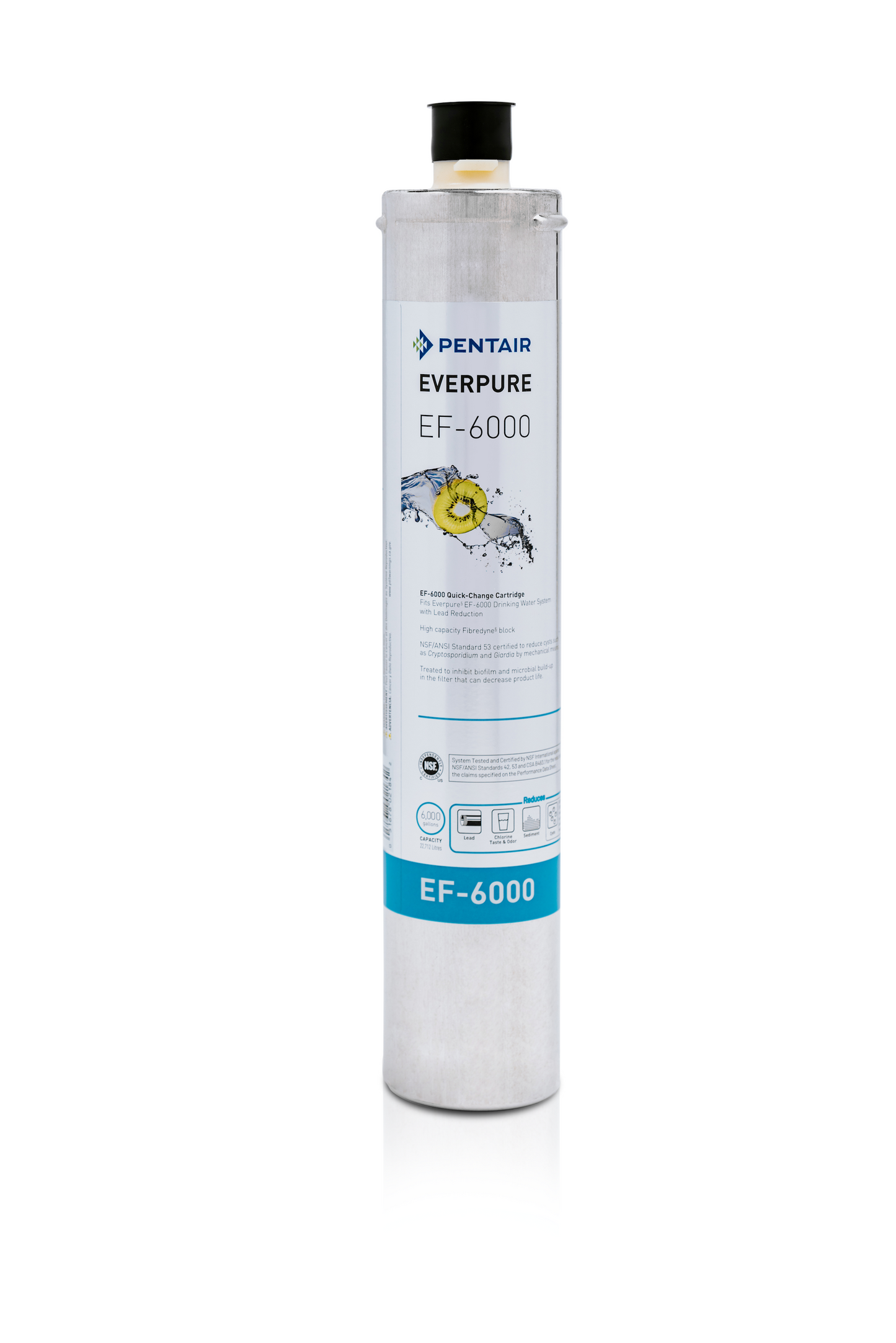 Everpure 6000 Replacement Filter Cartridge